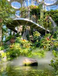 躲進城市雨林秘境