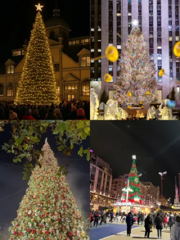 クリスマスはどこで遊ぶ？DCのクリスマスムードはもう完璧！