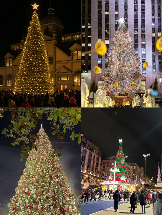 Where to go for Christmas? The Christmas atmosphere in DC is already in place!