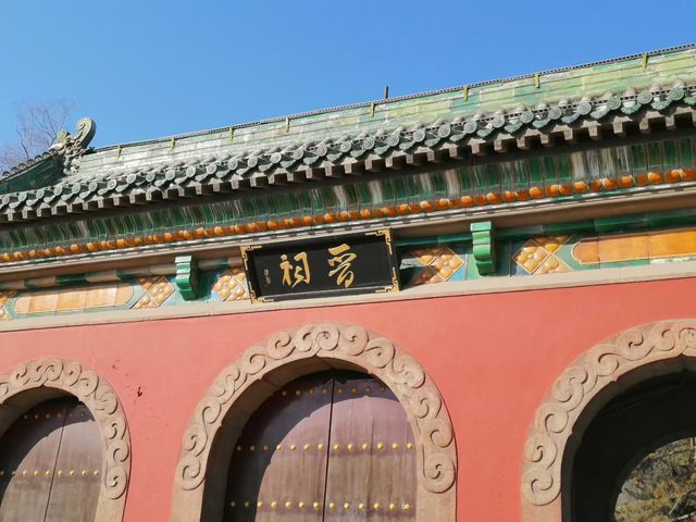 冬日晉祠貓伴遊 冬日晉祠貓伴遊