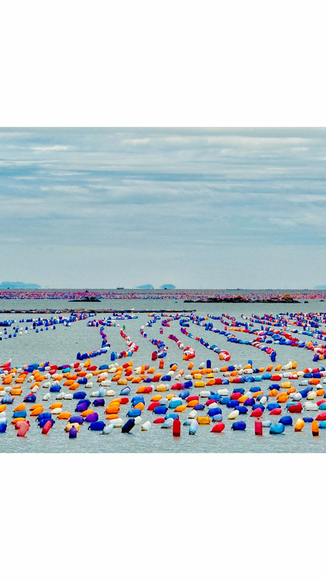 𝗱𝘂𝗱𝘂ᐝ北緯23°的颱風也是吹過了 𝗱𝘂𝗱𝘂ᐝ北緯23°的颱風也是吹過了
