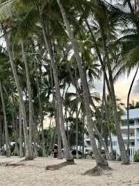 開恩茲|暫停思考,請來看看海、小酌一杯和發呆