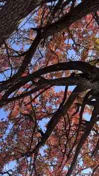 滬滸湖 你美！來瀘滸湖真的不用做太多攻略