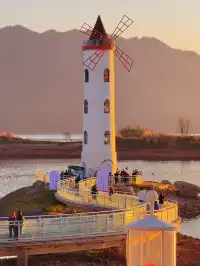 落葉倒數計時!千島湖落日金葉,衝就對了!