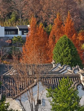 黃山腳下水墨畫！住進徽派院落看日落