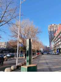 Tongliao Urban Vibes✨