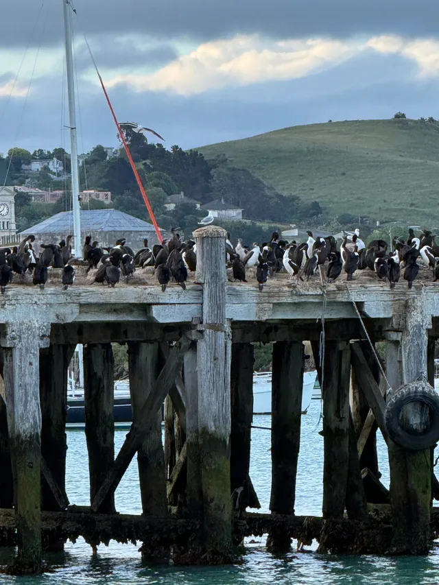 帶5歲娃闖新西蘭南島11天自駕!旅行路線篇 帶5歲娃闖新西蘭南島11天自駕!旅行路線篇