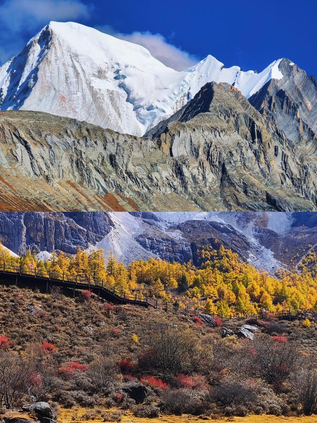 10.28實拍live~稻城亞丁秋色爆表!美到窒息 10.28實拍live~稻城亞丁秋色爆表!美到窒息