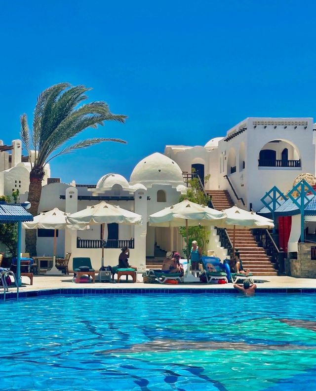 埃及紅海全包酒店天花板!這性價比絕了 埃及紅海全包酒店天花板!這性價比絕了