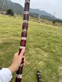 2025深圳大鵬菊花展