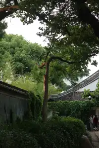 去迅哥家,從進門開始就一直在出片