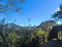 武夷山山水封神攻略碧水丹山治癒之旅