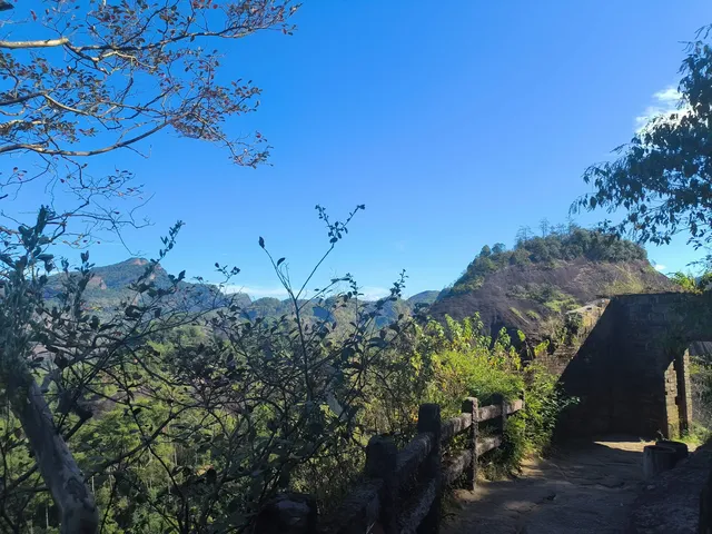 武夷山山水封神攻略碧水丹山治癒之旅 武夷山山水封神攻略碧水丹山治癒之旅