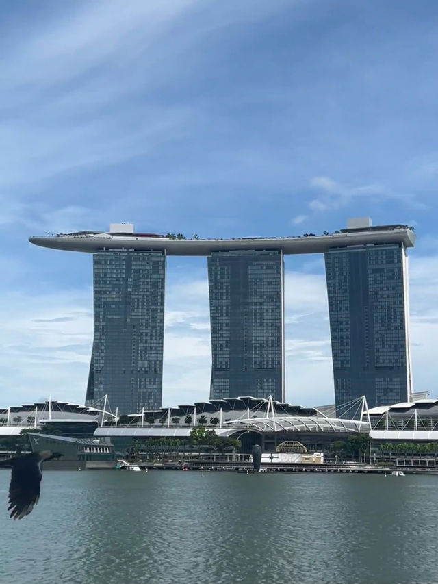 獅城最美街區漫步指南