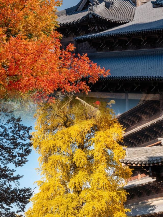 迄今為止,我最愛的江南古鎮出現啦 迄今為止,我最愛的江南古鎮出現啦