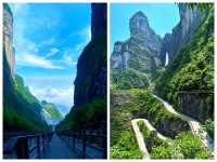 雙玻奇觀 + 鳳凰夜景