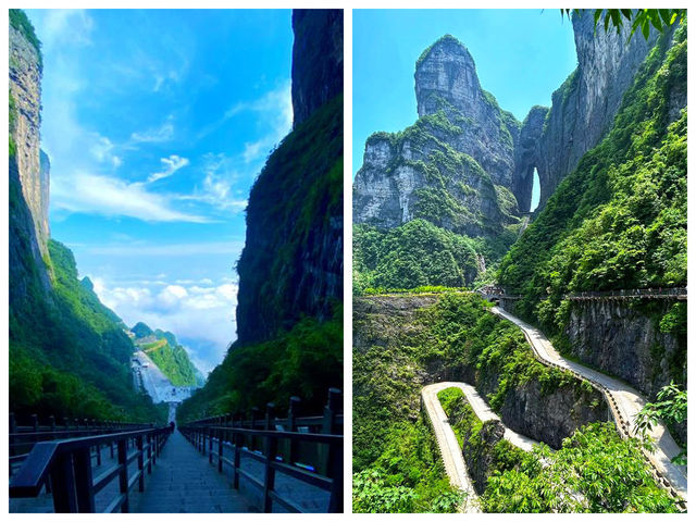 雙玻奇觀 + 鳳凰夜景