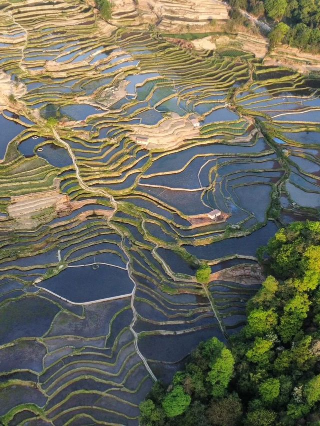 3天玩轉紅河超全攻略來啦 3天玩轉紅河超全攻略來啦