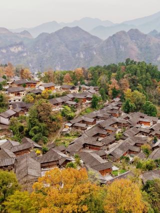 위층 고성, 30분 만에 《장안십이시진》과 같은 수묵 장편을 체험하세요!