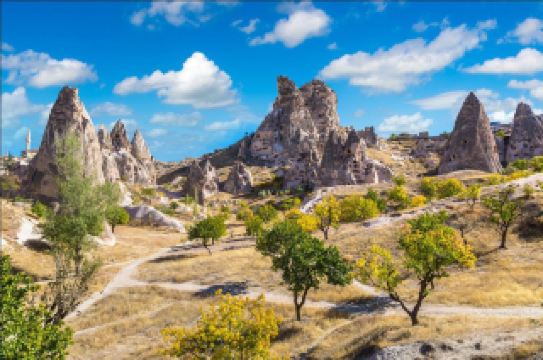 「トルコ特殊部隊の遊び方、高コスパの選択！」