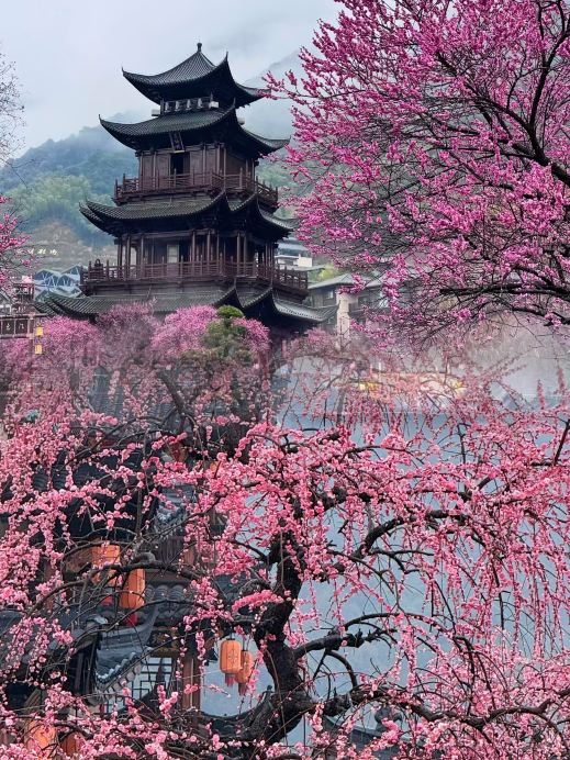 陶淵明の筆下の桃源郷に迷い込む | Trip.com 鉛山