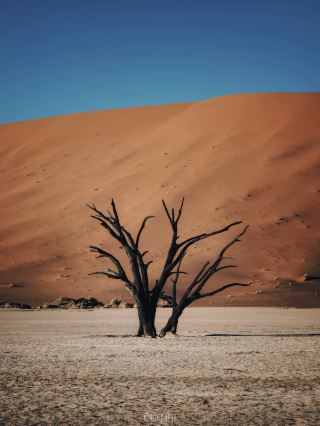 Death Valley: A Desert Secret Sealed by Time