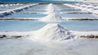 Poitou-Charentes Super Detailed Guide: A Niche French Slow Living Journey