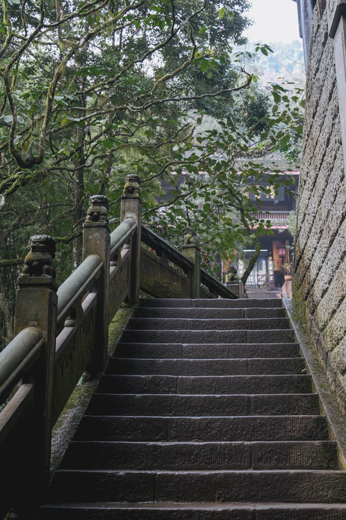 洪椿坪·洪椿晓雨 参考图 5