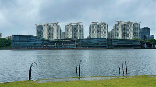 Free and great spot! Qingpu's Xiayang Lake is so healing~