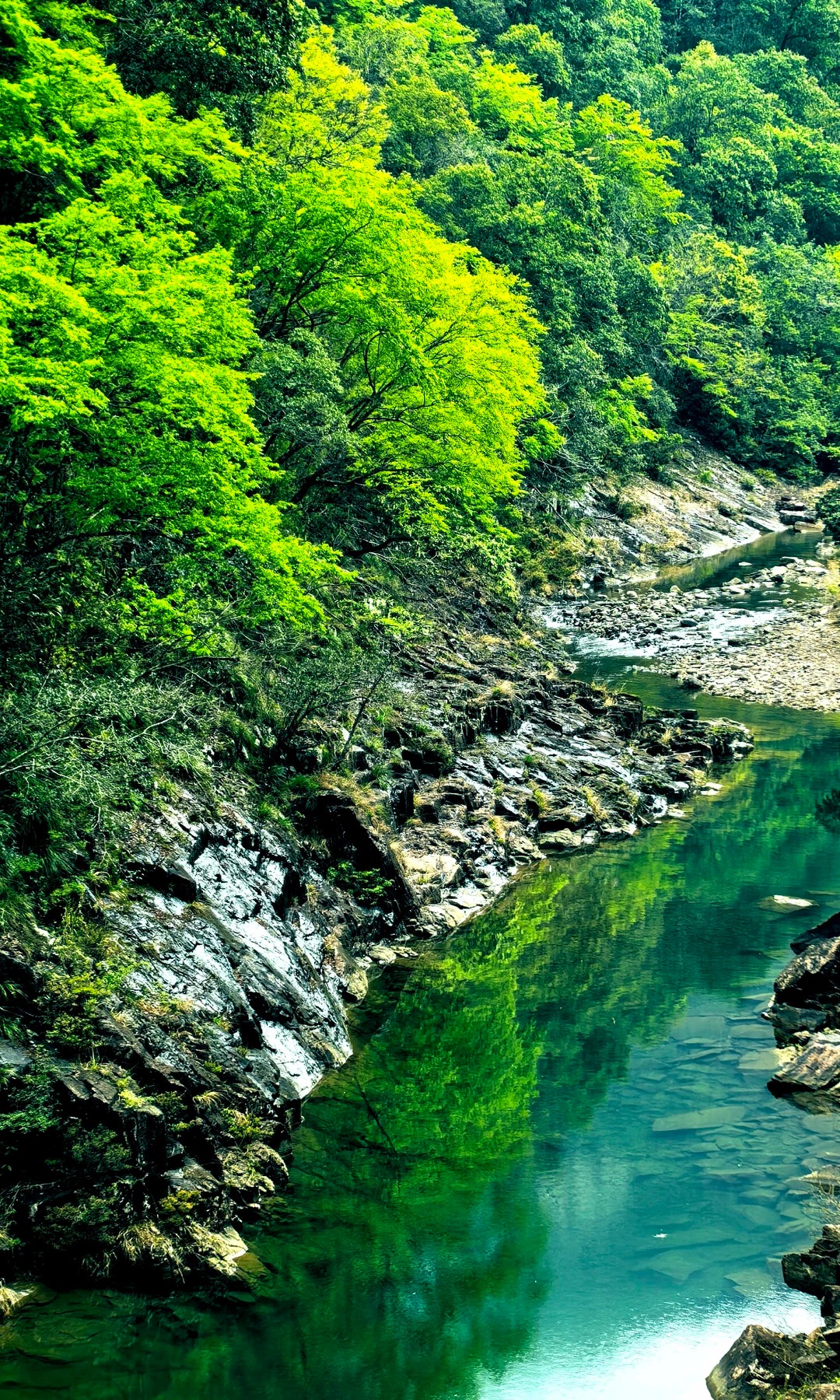 ここは九寨溝ではなく、江西省の馬頭山国家自然保護区です