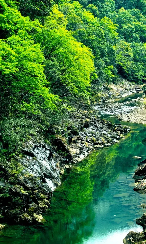 這不是九寨溝,是江西馬頭山國家自然保護區