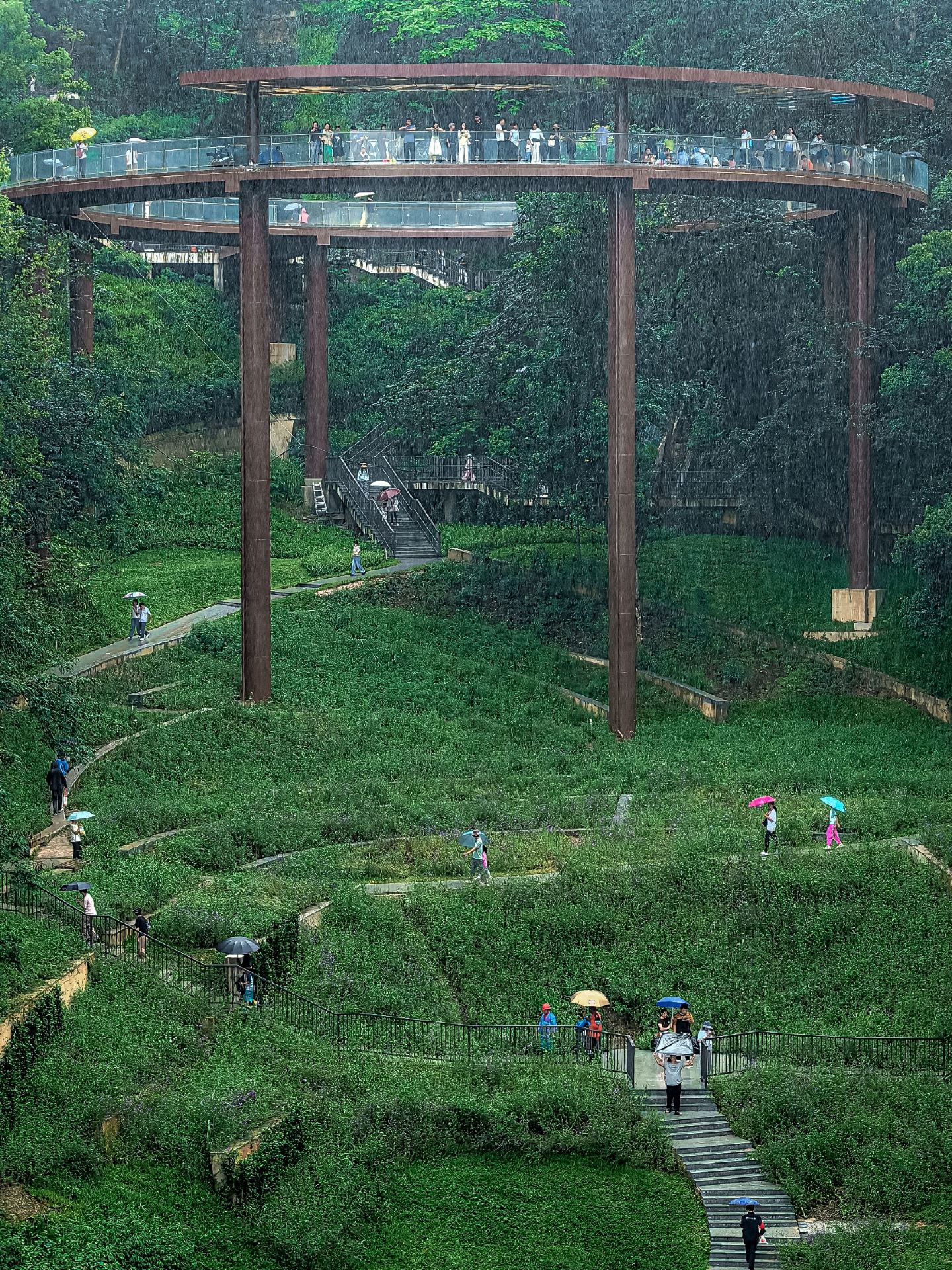 Newly opened park in Shenzhen, it blew me away!!
No entrance fee, perfect for weekend outings, hiking, and photography 📷
The park is lush with green mountains and forests
The environment is quiet and serene, making a stroll especially pleasant

The iconic orange-yellow aerial walkway winds through the forest
With light and shadow interplay, it's easy to capture atmospheric forest-themed photos
The Nanwan Moon Viewing Platform offers a wide view
You can enjoy both mountain wilderness and city scenery at the same time
The sunset view is especially stunning

The gentle lakeside trail is relaxing and comfortable
There is also a forest playground area, great for family fun
It’s recommended to wear light-colored clothes for better photos
Remember to apply sunscreen and mosquito repellent while playing
There are few supply facilities inside the park, so be sure to bring drinking water in advance.

It’s recommended to take the subway to Buji Station or Danzhutou Station
Then take a taxi from there
You can search for Jixia Industrial Park Complex Building on navigation

  
  
 Community Creation Center
Benefits Officer