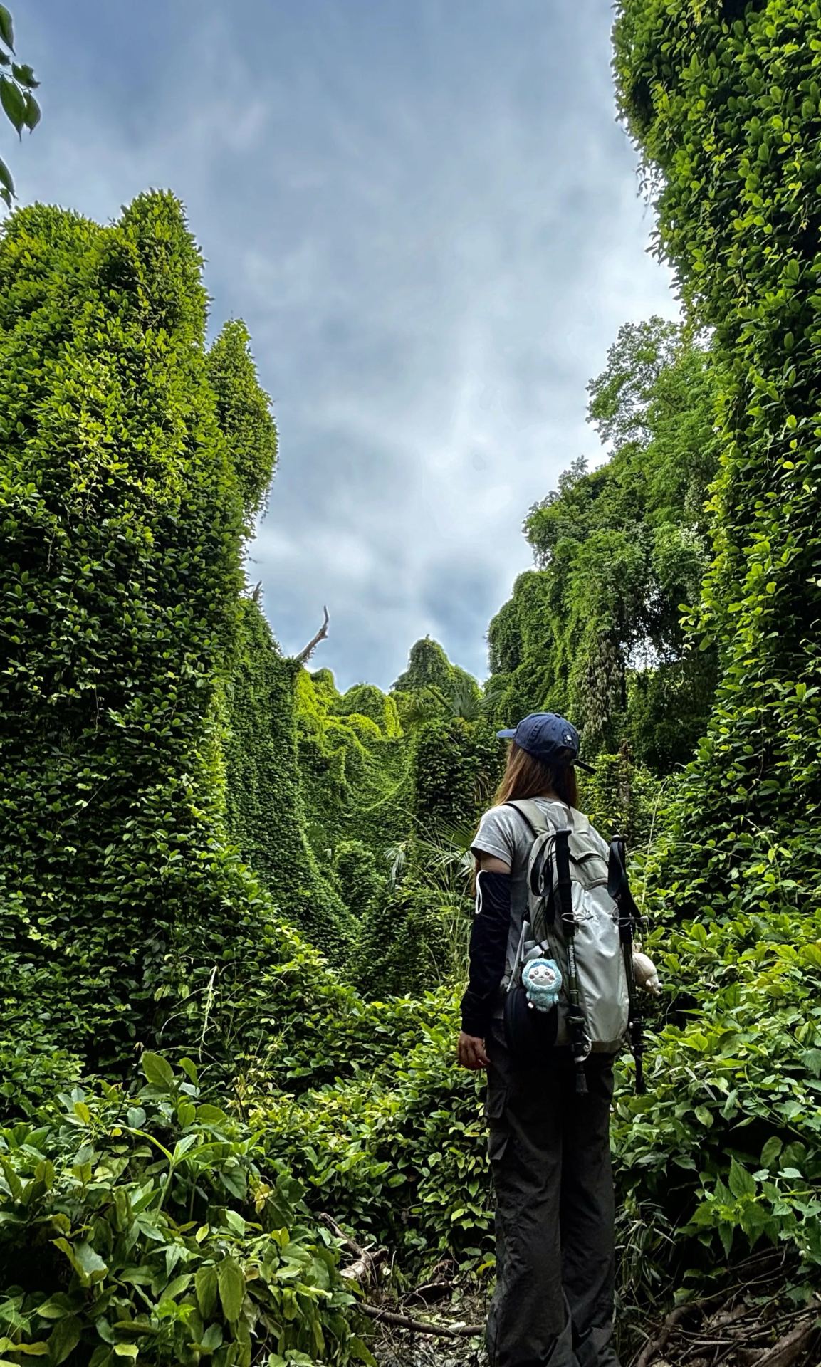  Hangzhou City God Pavilion (Wushan Tianfeng) Simplified Guide|Half-day tour for hiking + Hefang Street

📍Address: No. 3 Wushan, Shangcheng District (Wushan Summit, West Lake New Ten Scenes · Wushan Tianfeng)
⏰Opening Hours: 8:00 AM - 8:00 PM, last ticket sold at 6:30 PM, last entry at 7:00 PM, 2-3 hours is ideal for visiting

1. Transportation

· Metro preferred: Line 7, get off at Wushan Square Station, Exit D/C, then walk 8-10 minutes up the stone steps

· Bus: Wushan Bus Station / Drum Tower Station (Routes 35, 187, 151), then walk uphill

· Driving: Wushan Square underground parking lot, 5 RMB/hour

2. Tickets

· Adults: 30 RMB; Students/ages 6-18: half price 15 RMB

· Free admission: Children under 1.2m, seniors over 70 years old, and disabled persons with valid ID

· Hangzhou Park Card holders pay an additional 10 RMB for entry; tickets can be purchased in advance via the WeChat public account "West Lake Tourism"

3. Must-visit spots inside the pavilion & on the mountain

City God Pavilion Main Building (7 floors, 41.6 meters)

1. 1st Floor: Giant wood carving "Southern Song Hangzhou City Scenery," Southern Song panoramic painted clay sculptures

2. 2nd Floor: Famous couplet by Xu Wei: "Eight hundred miles of lakes and mountains, who knows what year this painting is from; a hundred thousand homes’ smoke and fire all return to this tower"

3. 4th Floor (Signature Viewing Platform): Unobstructed 360° view, look west to West Lake’s Leifeng Pagoda, north to the old city, east to Qiantang River; on clear days, the landscape of river, mountain, lake, and city is fully visible; sunset and night views are spectacular

4. Adjacent Zhouxin Shrine (City God Temple): Free to ring the Peace Bell for blessings

Free Wushan Wild Spots (can visit without entering the pavilion)

1. Jianghu Hui Viewing Pavilion: Excellent spot for panoramic photos of City God Pavilion, free viewing of West Lake + Qiantang River

2. Twelve Zodiac Stones: Natural stones shaped like the twelve zodiac animals, a landmark of old Hangzhou

3. Baocheng Temple: Yuan Dynasty stone carvings by Ma He Ge La, a lesser-known red wall photo spot

4. Cliff carvings, ancient camphor trees, ancient paulownia trees at Dongyue Temple, shaded forest trails for a cool walk

4. Classic One-day Route (explore the city without backtracking)

Start at Wushan Square → climb stone steps → ascend City God Pavilion (enter at 4:30 PM to watch sunset) → Jianghu Hui Viewing Pavilion → Twelve Zodiac Stones → descend directly to Hefang Street + Southern Song Imperial Street for food and shopping
Best entry time: 4:00-5:00 PM, see daytime lake views → sunset glow → full city nightscape all in one stop

5. Food at the foot of the mountain (Hefang Street)

Snacks average 30-50 RMB per person: scallion pancakes, Ding Sheng cake, Hangzhou fan-shaped pastries, lotus root starch, fried dough balls; for meals, choose Hangzhou cuisine, famous old brand Zhiweiguan, or Fang Huichun Tang medicinal cuisine light meals

6. Nearby combined itineraries

1. Short route: City God Pavilion → Hefang Street → Hu Qing Yu Tang (Traditional Chinese Medicine Museum) → Drum Tower

2. Long route: City God Pavilion → walk to Liulang Wenying Park → West Lake boat cruise at Hubin → Leifeng Pagoda

7. Travel Tips

1. It’s windy at the summit, bring a light jacket for evening hikes; wear flat shoes, stone steps and mountain paths are easy to walk but not suitable for high heels

2. Perfect for wearing Hanfu, great for photos with the pavilion and ancient alleys

3. Night view: City God Pavilion lights up after dark, old street lights connect below the mountain, night tours offer great value
