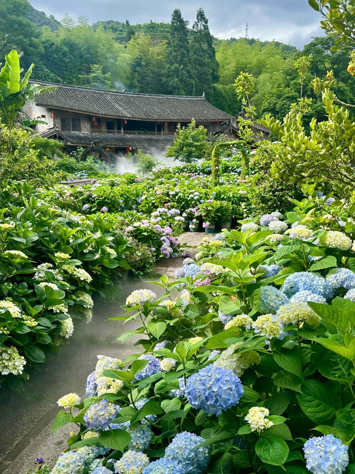 It's not that New Zealand is unaffordable, but Taishun offers better value for money!