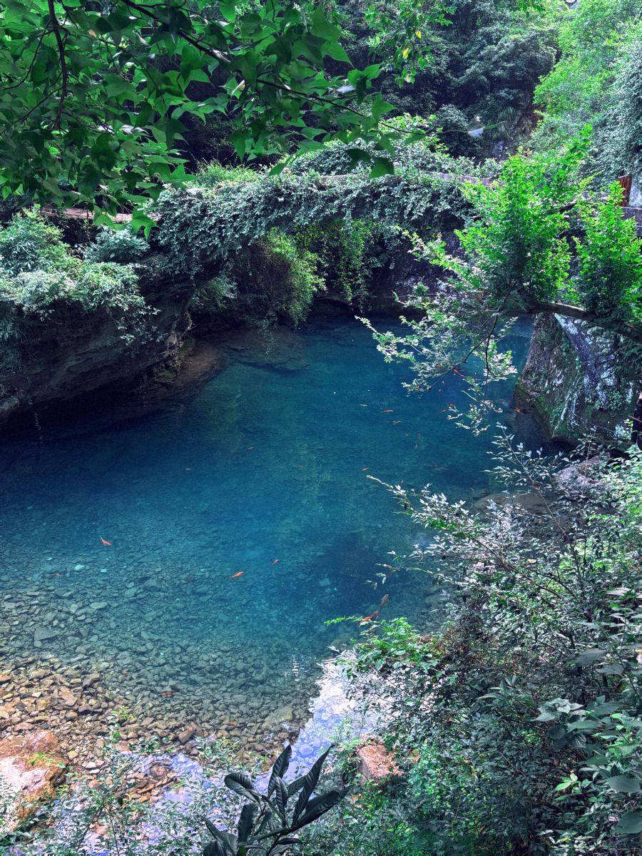 3 days 2 nights in Yandang Mountain and Nanxi River, lazy