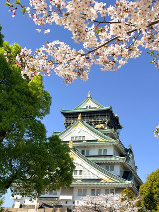 雨の日に大阪城という歴史的な観光地に出会うなんて、写真映えしすぎる!