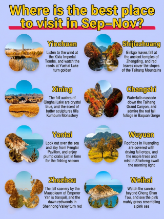 Autumn travel schedule for September–November! You can't go wrong with these 8 long-distance routes