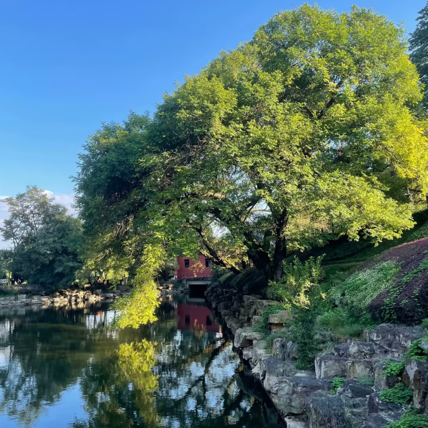 Lujiang! An underrated small city