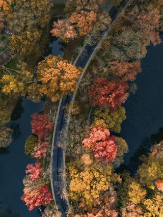 南京 | 南京こそが紅葉狩りの最高峰だと宣言します