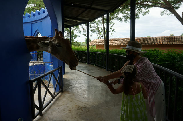 Camel Republic สวนอูฐ ชะอำ