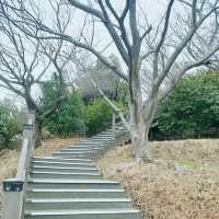 주민들의 운동장🚶‍♂️🚶‍♀️