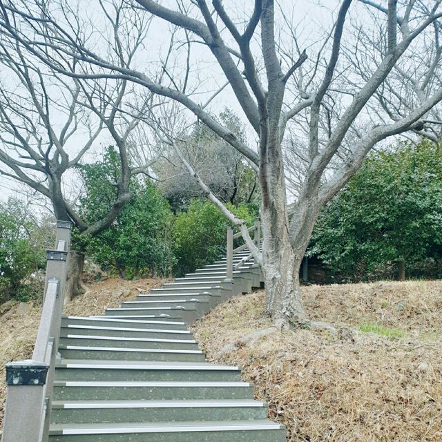 주민들의 운동장🚶‍♂️🚶‍♀️