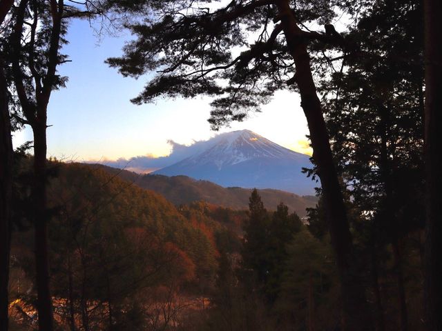 富士五湖 人生日本必來景點之一