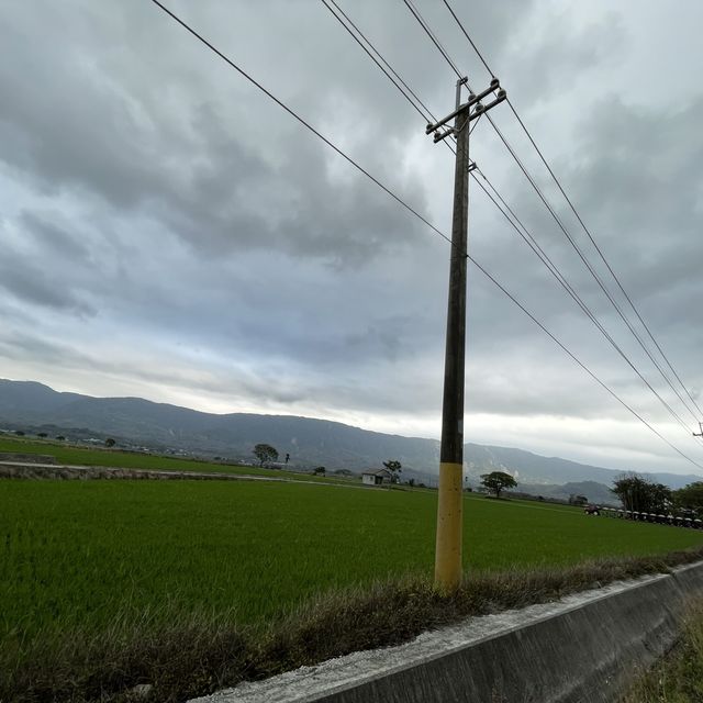 台東伯朗大道