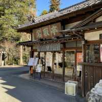 成田山新勝寺〜成田公園散歩