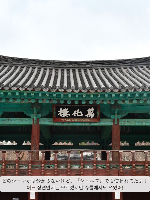 【 韓国 / 全州 】韓ドラのロケ地巡り！二十五、二十一、シュルプ…話題作多数！