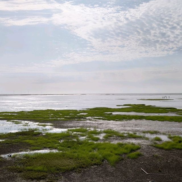 台湾の新竹にある風情海岸