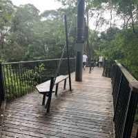 Barron Falls Lookout