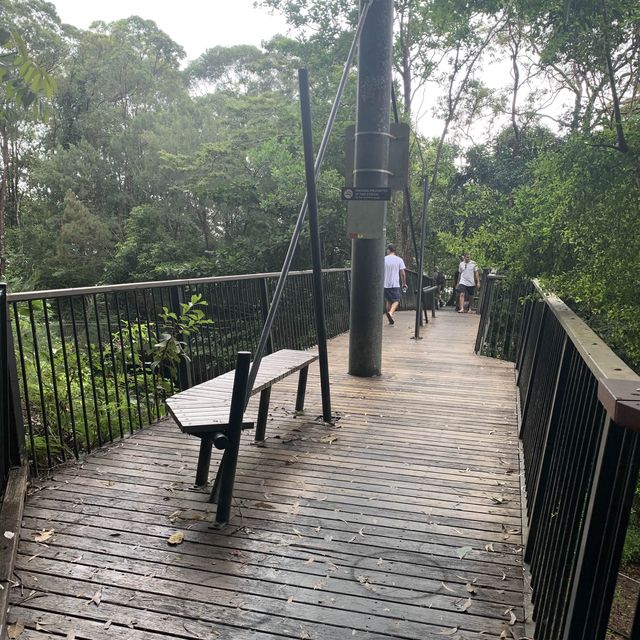 Barron Falls Lookout