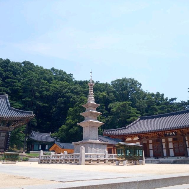 사명대사공원에탑과 직지사에 석탑투어